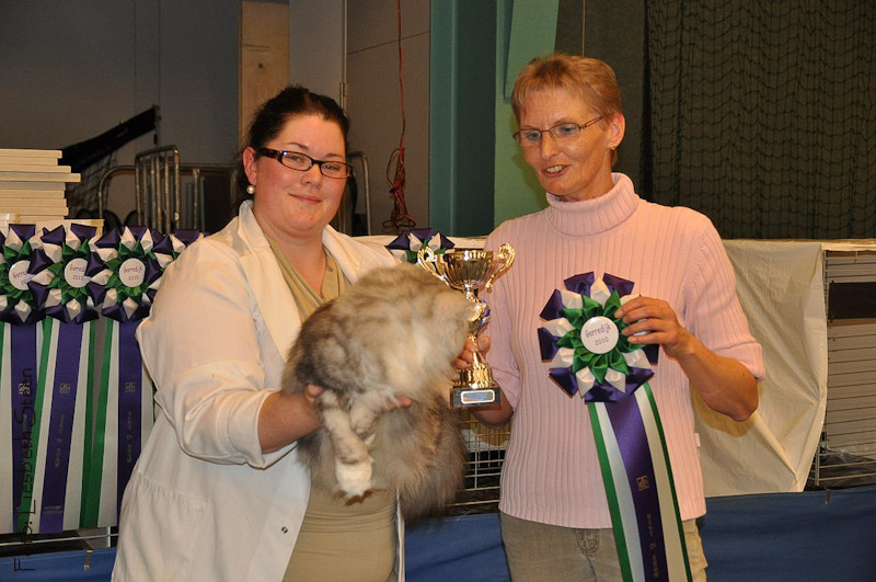 2010 Gorredijk: BIS Kitty Harrewar